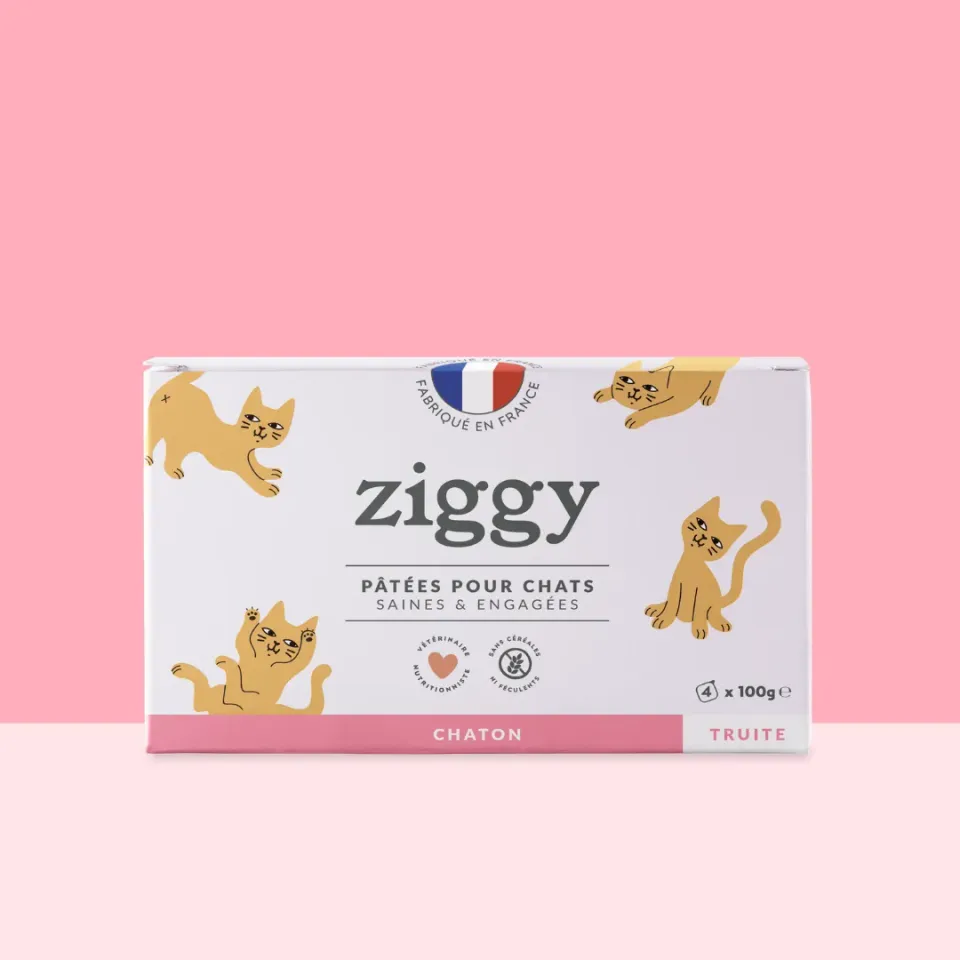 Ziggy natvoer kitten forel 4x100g graanvrij