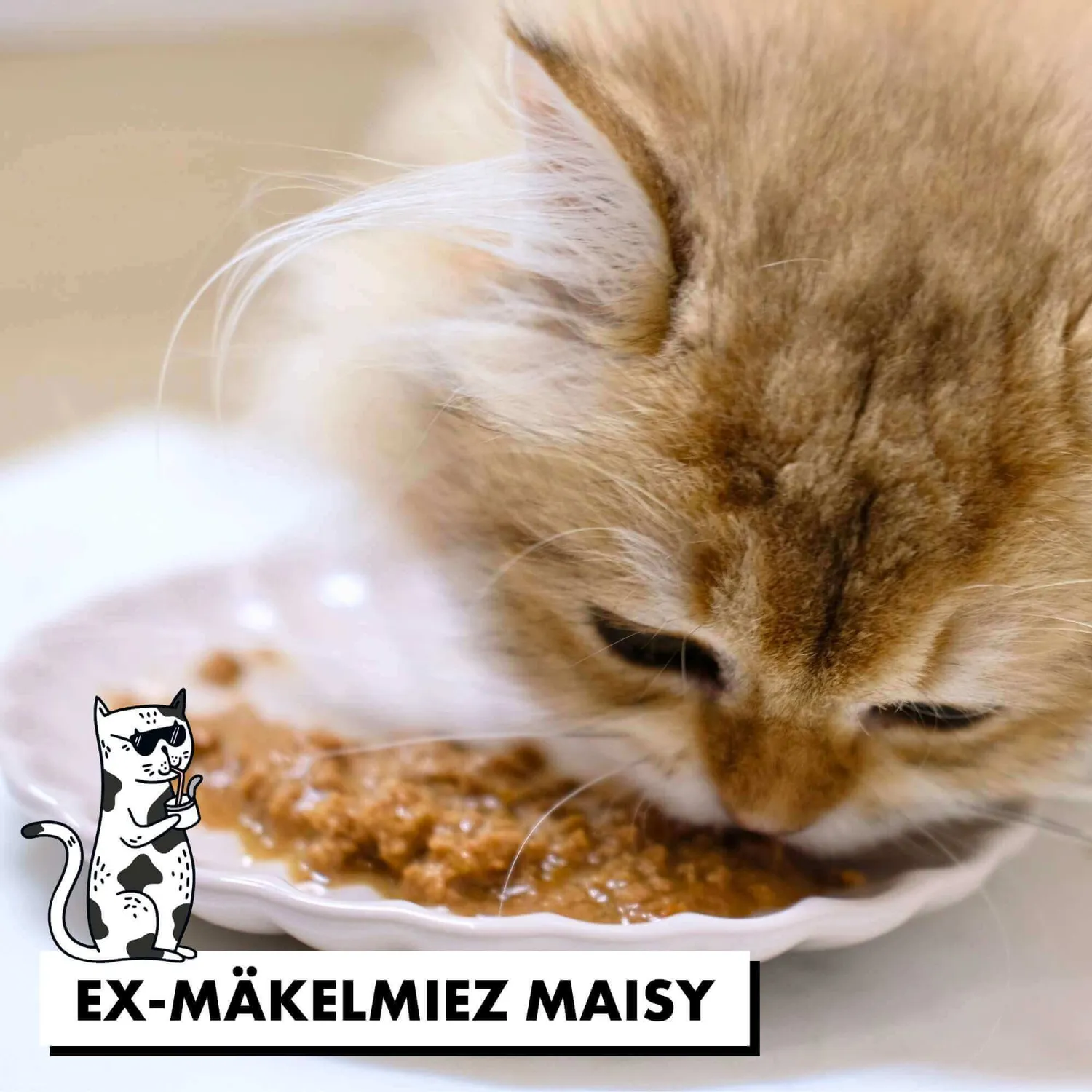 STRAYZ natvoer kat proefpakket 12x85g in saus graanvrij