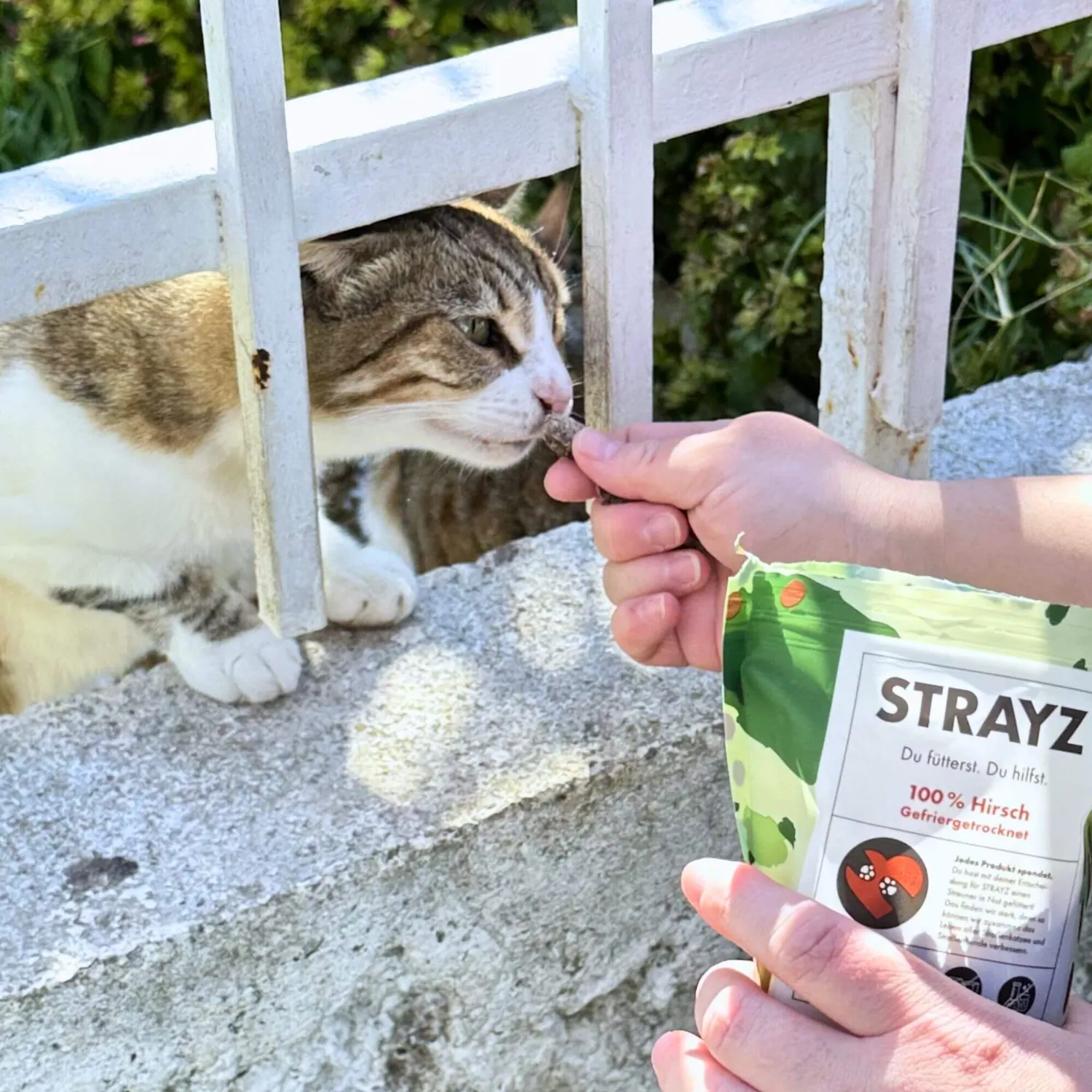 STRAYZ 100% hert snacks hond kat gevriesdroogd