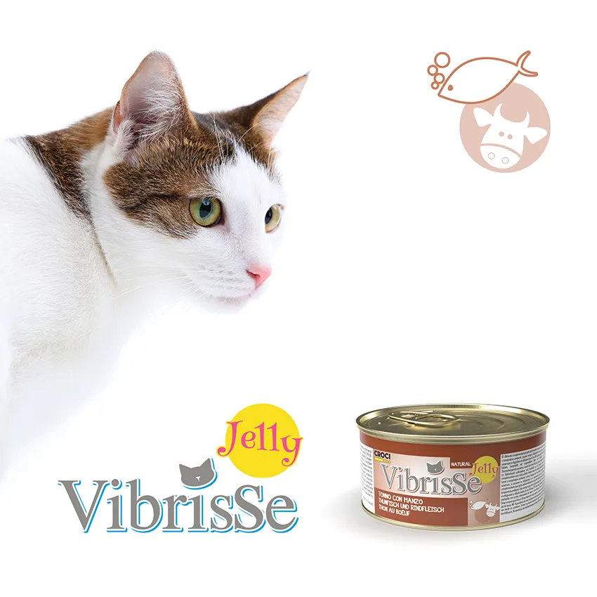 Vibrisse Jelly kip natvoer kat 70g blik gelei