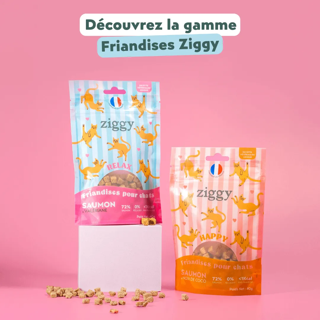 Ziggy Relax kattensnoepjes zalm valeriaan 40g graanvrij
