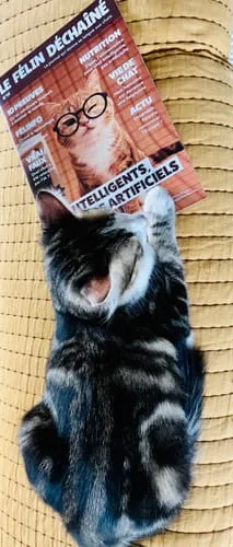 Ziggy Le Félin Déchaîné tijdschrift editie 14 Frans