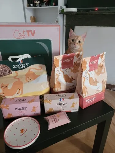 Ziggy kittenbrokken kip met zalmolie 1kg graanvrij