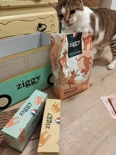 Ziggy Discovery Box kat kip brokken natvoer 1 kg + 8 x 100 g