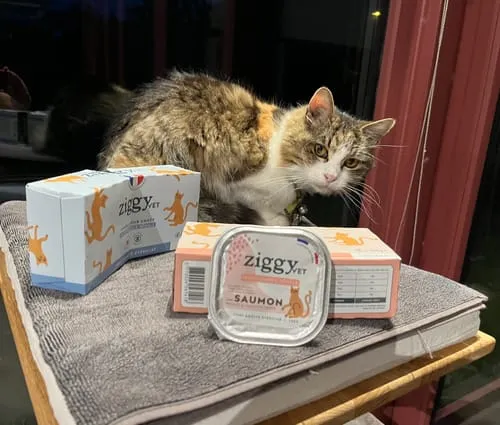 Ziggy VET CKD natvoer zalm 16 x 100 g nierdieet