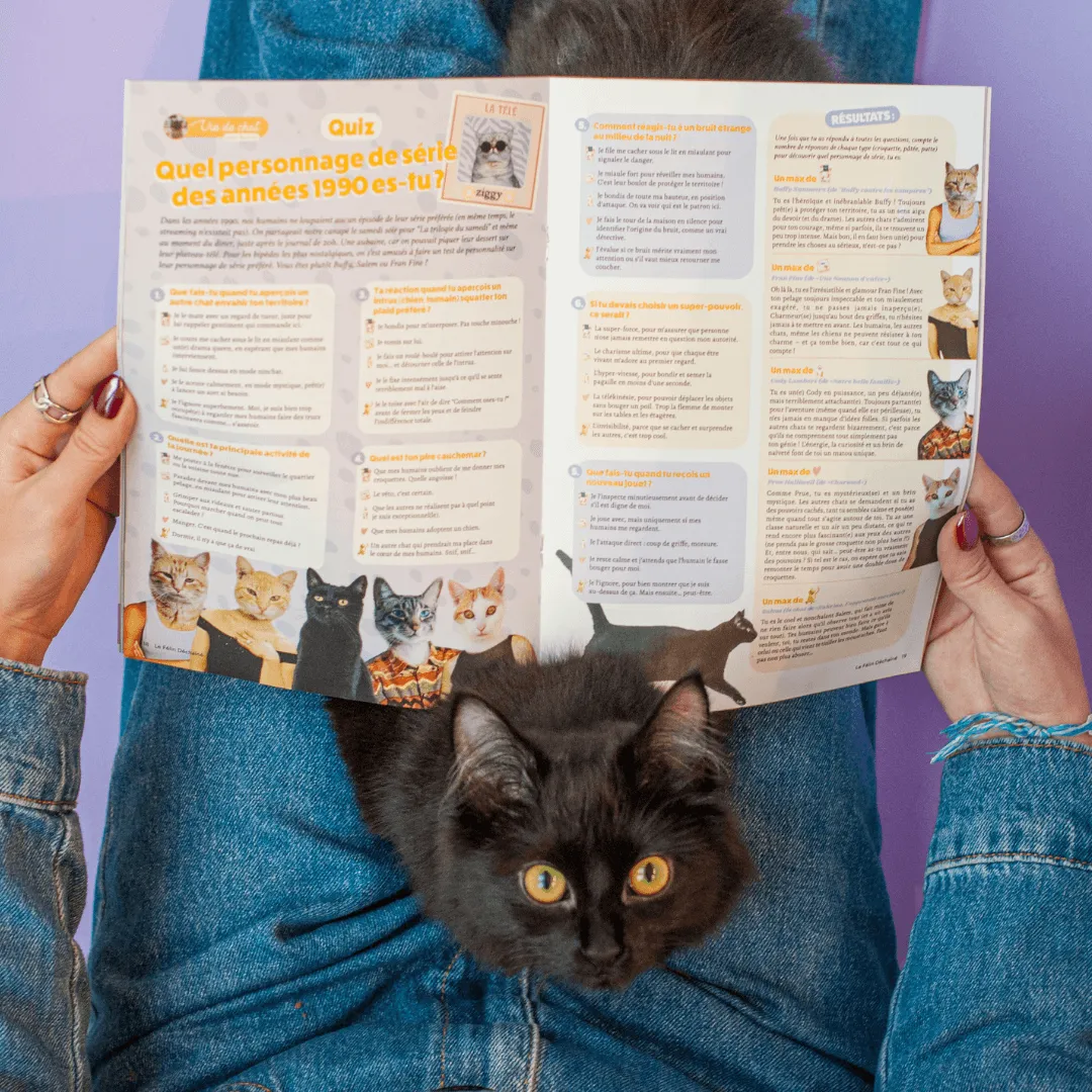 Ziggy Félin Déchaîné Issue 10 kattentijdschrift Frans