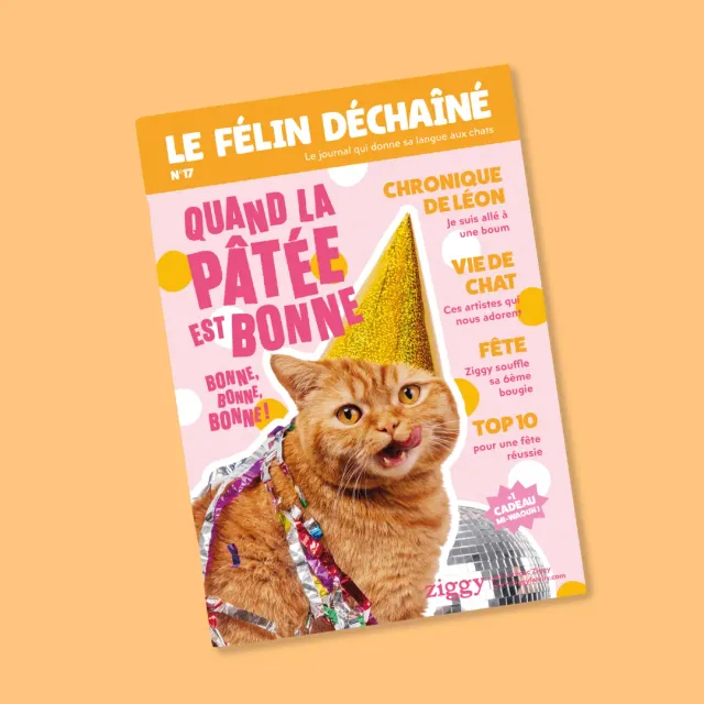 Ziggy Le Félin Déchaîné tijdschrift nummer 17 Frans