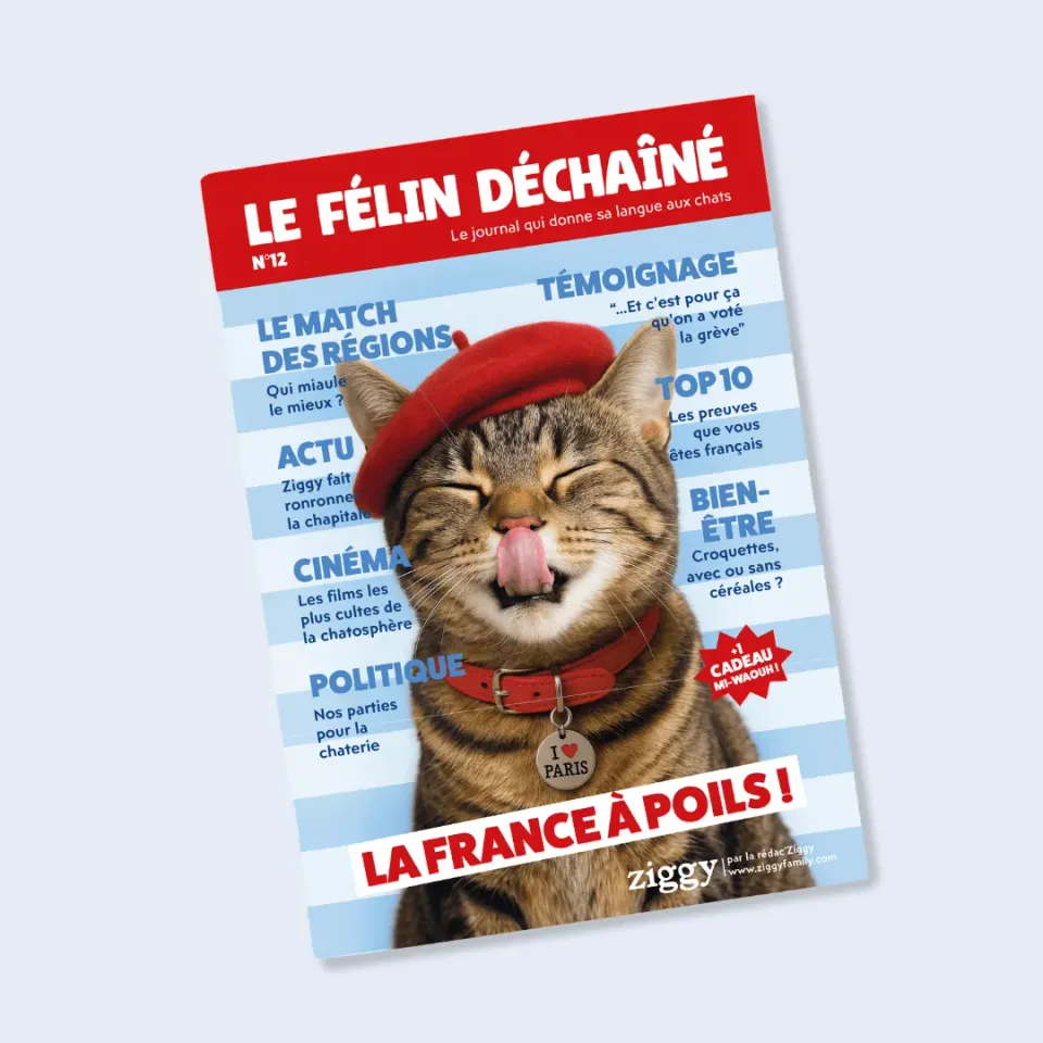 Ziggy Félin Déchaîné tijdschrift editie nr. 12 Frans