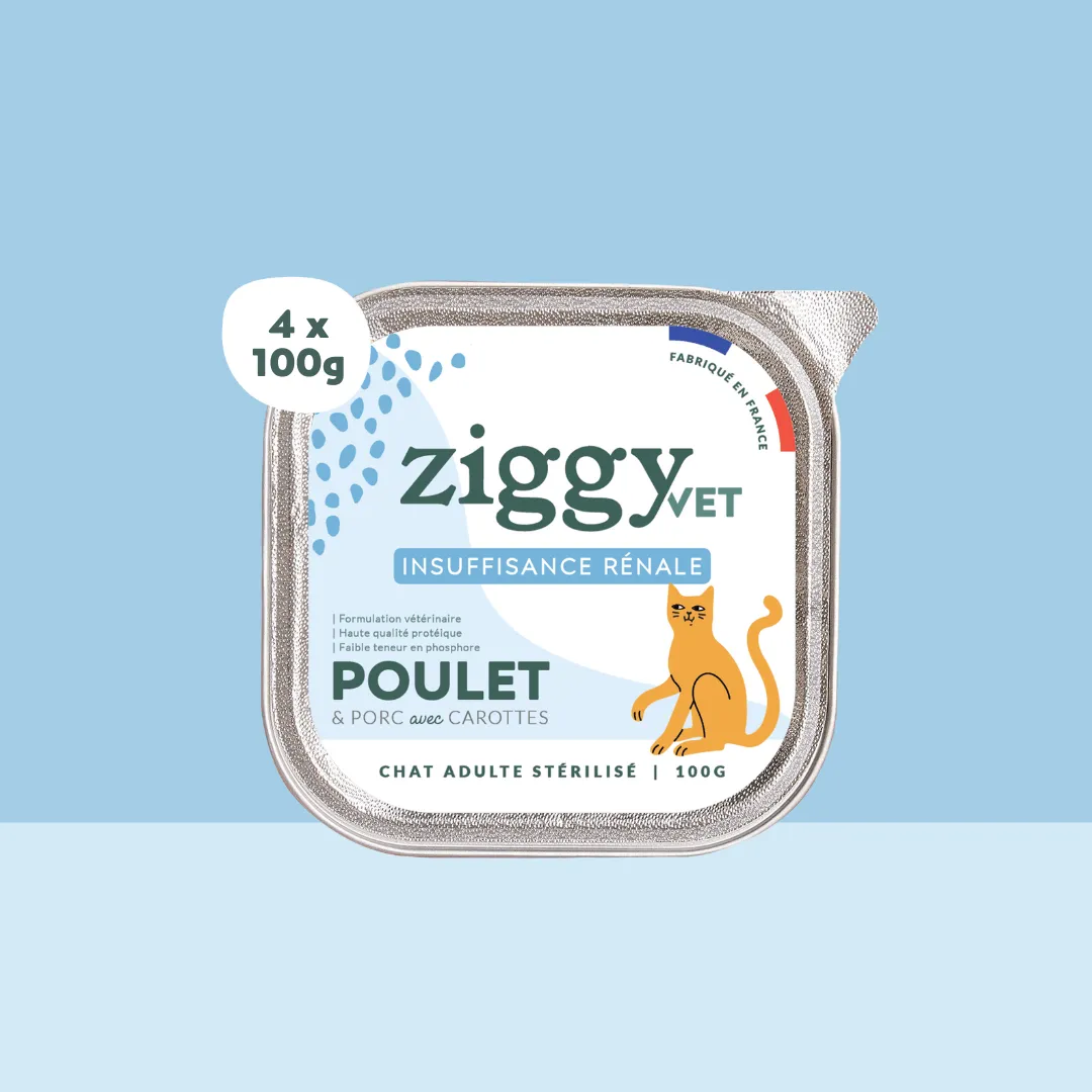 Ziggy VET CKD natvoer kat kip 4x100g nierdieet