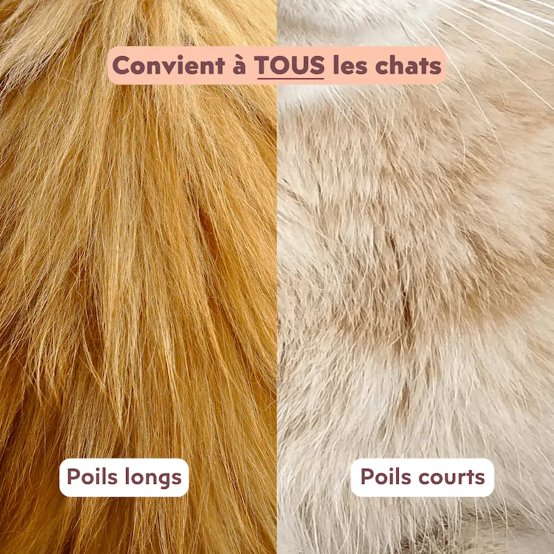 Ziggy The French Brush kattenborstel dubbelzijdig vegan