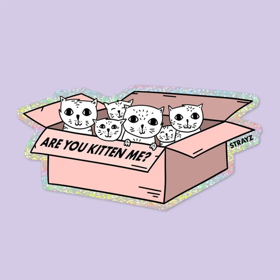 STRAYZ Are you Kitten me katten sticker