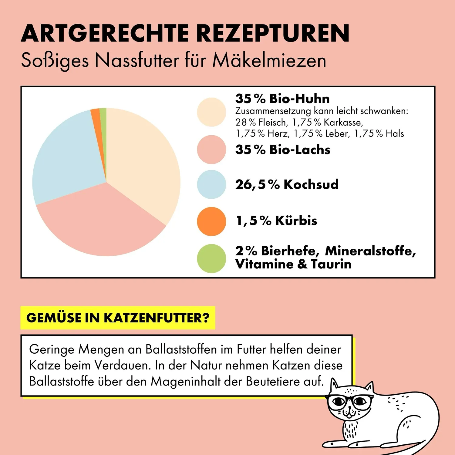 STRAYZ Lachs Huhn Kürbis in Soße natvoer kat 200g bio