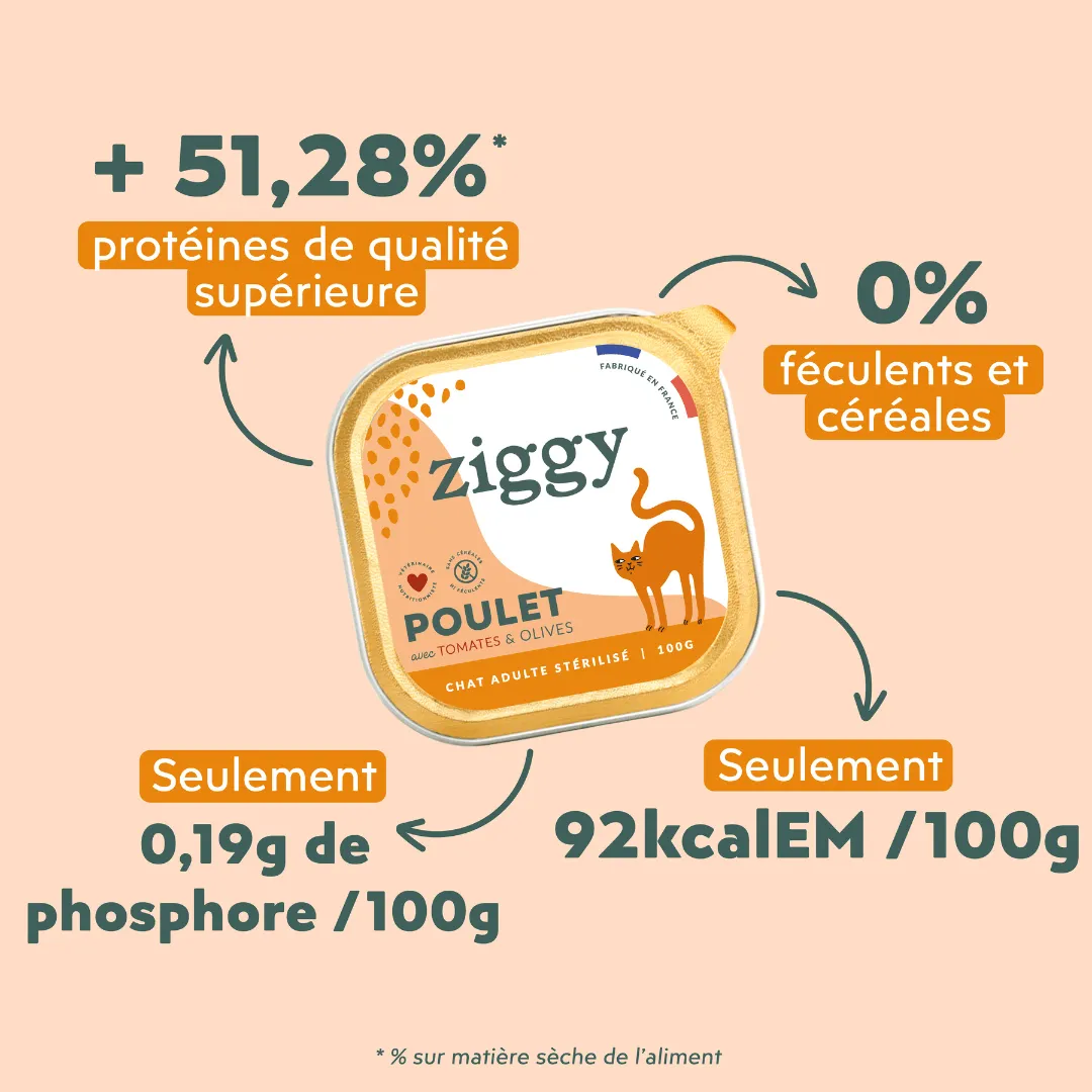 Ziggy natvoer gesteriliseerde kat kip 4 x 100 g tomaat olijf
