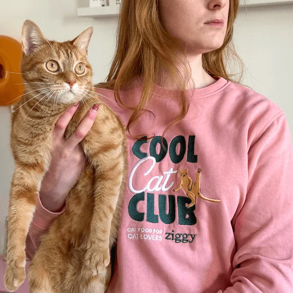Ziggy Génération Ronron trui roze wit katoen