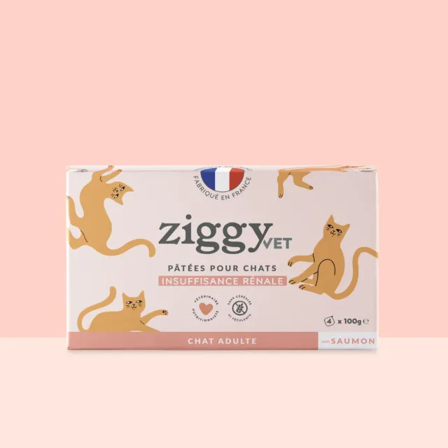 Ziggy VET natvoer CKD zalm 4 x 100 g fosforarm