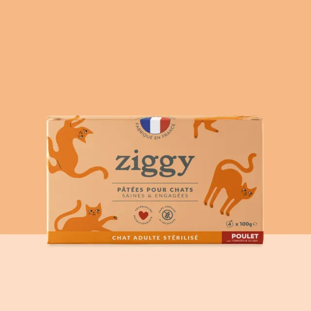 Ziggy natvoer kat kip tomaat olijven 4x100g