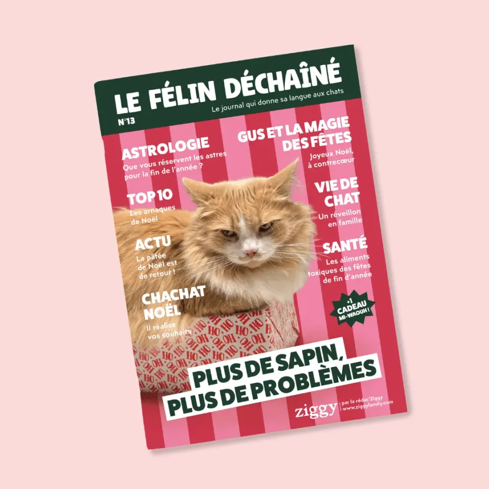 Ziggy Le Félin Déchaîné tijdschrift katten editie 13