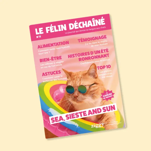 Ziggy Félin Déchaîné kattenmagazine editie 11 Frans