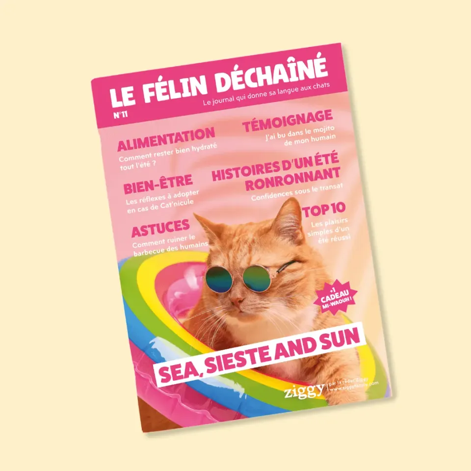 Ziggy Félin Déchaîné kattenmagazine editie 11 Frans