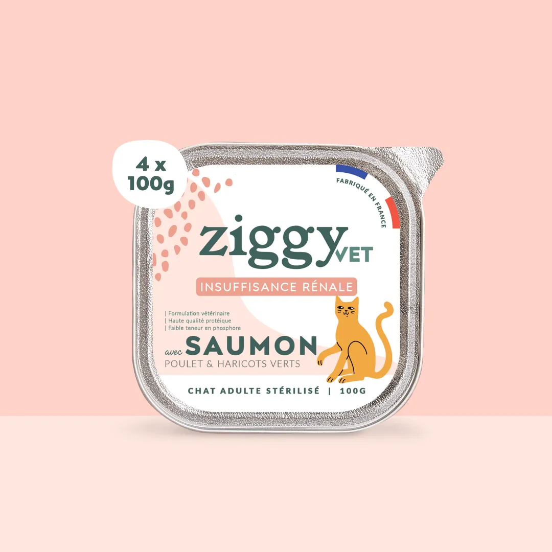 Ziggy VET natvoer CKD zalm 4 x 100 g fosforarm