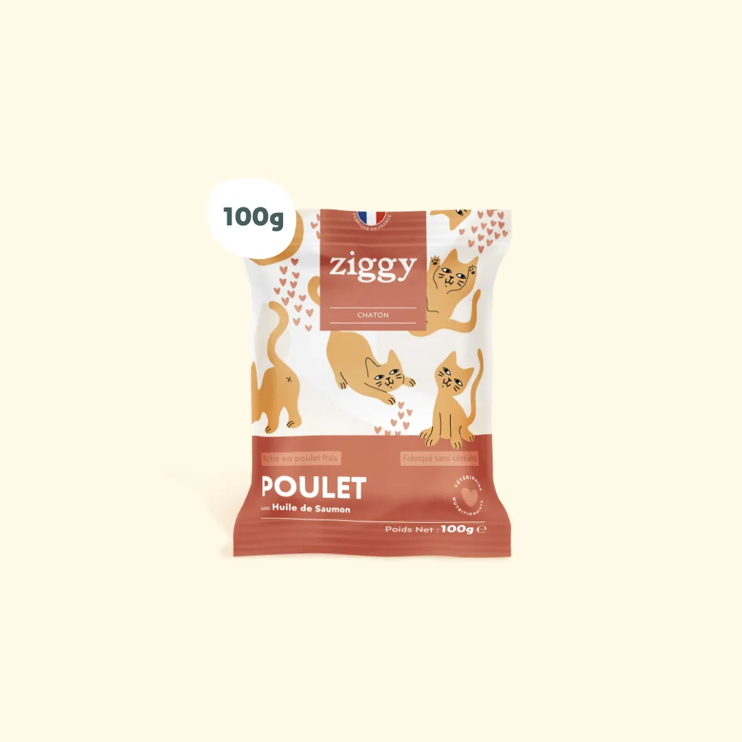 Ziggy Proefpakket droogvoer kat kitten 3 smaken
