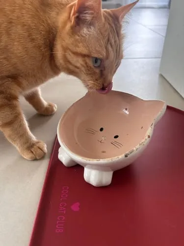 Ziggy Cool Cat Club voermat kat roze klein siliconen antislip