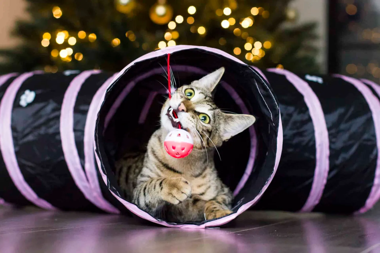 Poezenparadijs Kattentunnel Roze met Pootjes 80 cm opvouwbaar