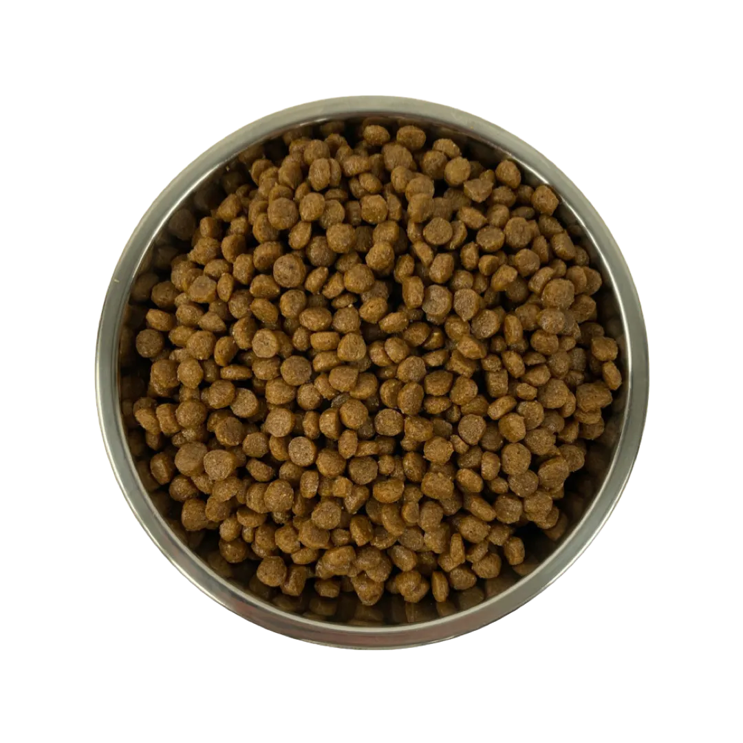 EasyPets Tasty Chicken Kittenvoer Droogvoer Kip 1,5 kg tarwevrij