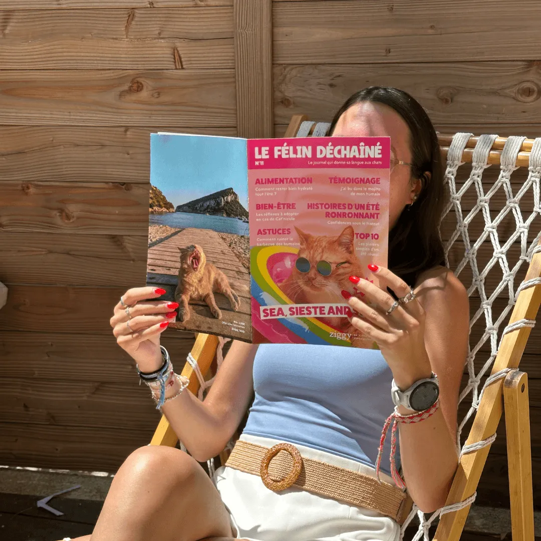 Ziggy Félin Déchaîné kattenmagazine editie 11 Frans