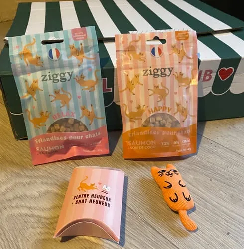 Ziggy Care probiotica kat 3 zakjes darmflora