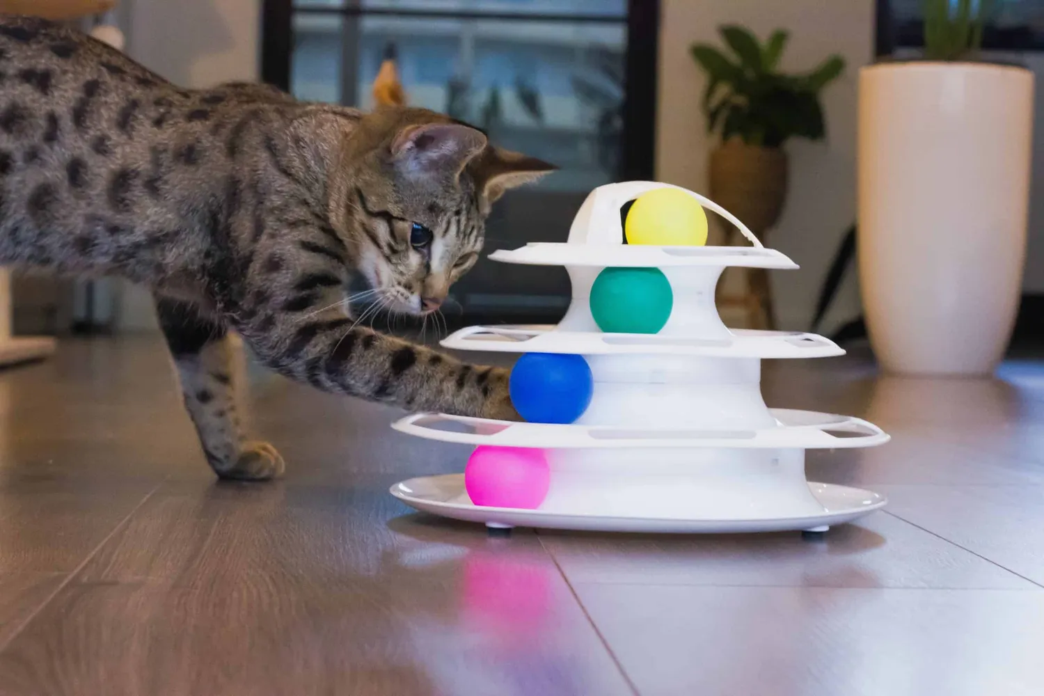 Poezenparadijs Katten Speeltoren 4 Levels met Ballen antislip