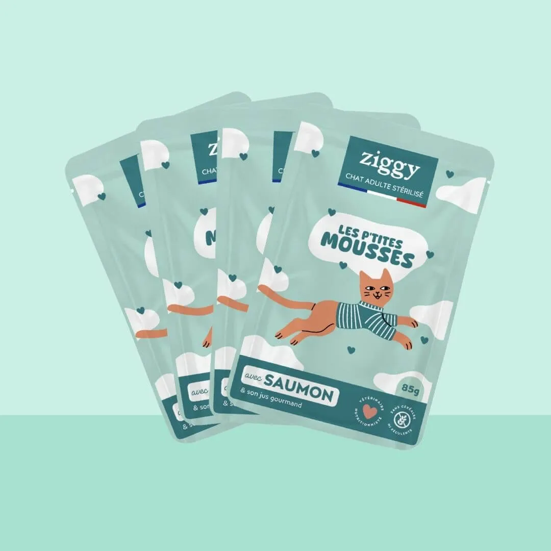 Ziggy mousse zalm 4 x 85 g zachte paté