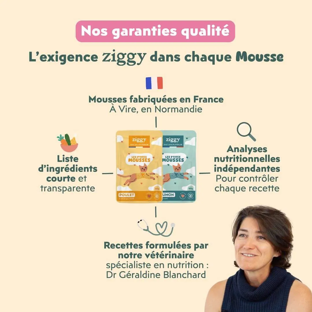 Ziggy Sterilized Mousse kattenvoer kip 12x85g graanvrij