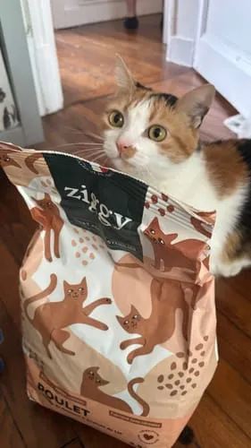 Ziggy Sterilised Adult brokken kip 2,5 kg graanvrij