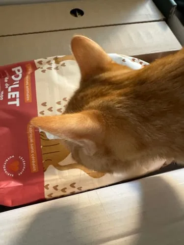 Ziggy kittenbrokken kip met zalmolie 1kg graanvrij
