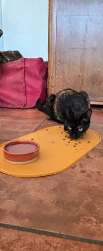 Ziggy Cool Cat Club voermat kat roze klein siliconen antislip