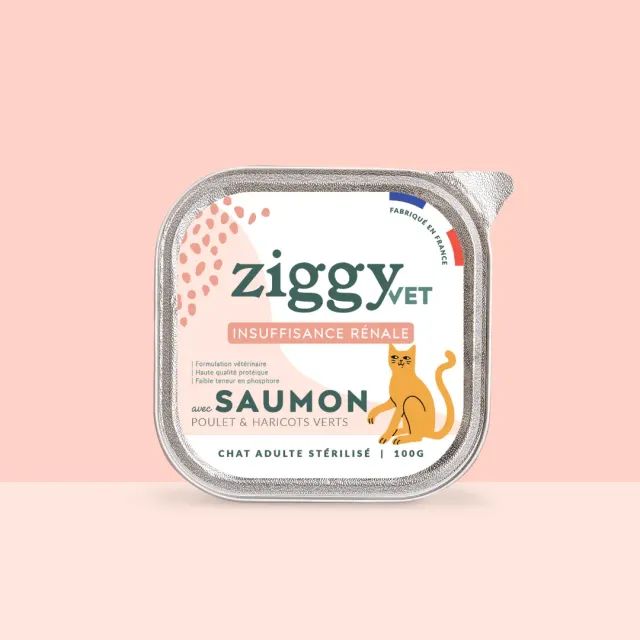 Ziggy VET CKD natvoer zalm 16 x 100 g nierdieet