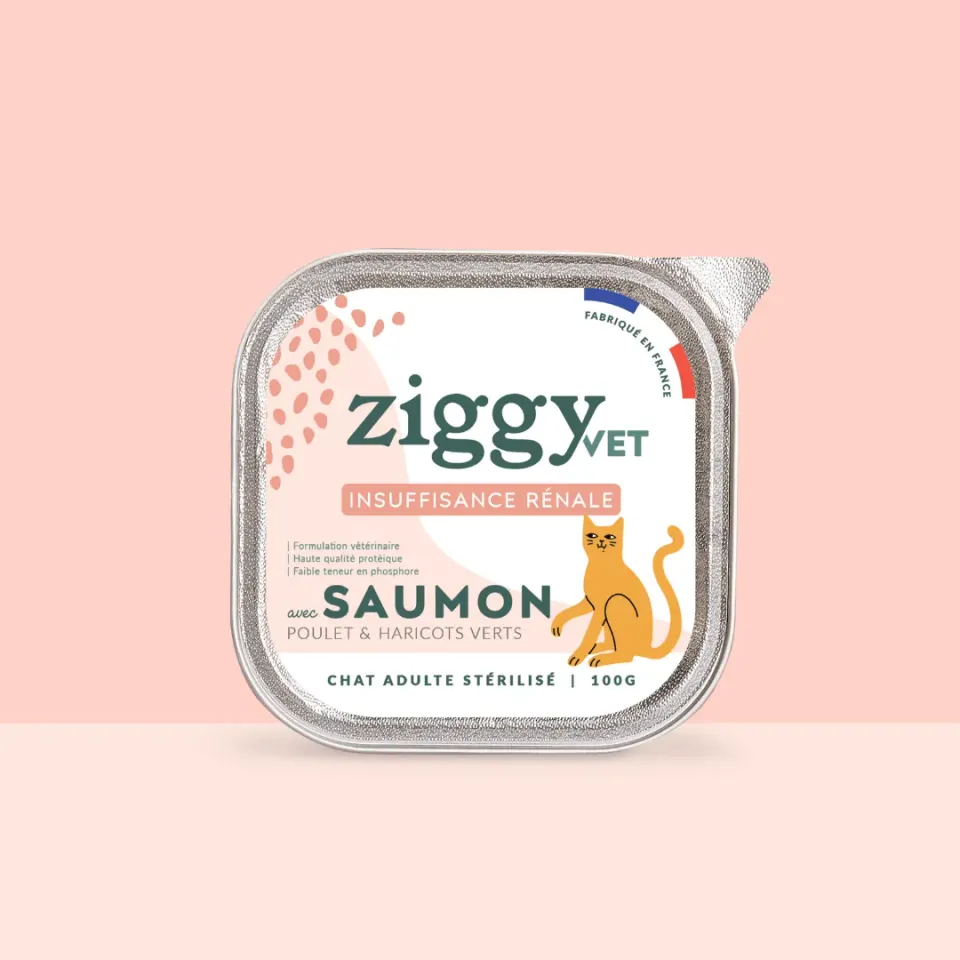 Ziggy VET CKD natvoer zalm 16 x 100 g nierdieet