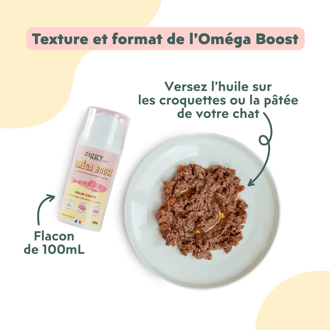 Ziggy Omega Boost visolie kat 100 ml EPA DHA