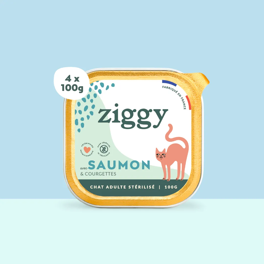Ziggy Natvoer kattenvoer zalm 4 x 100g vis