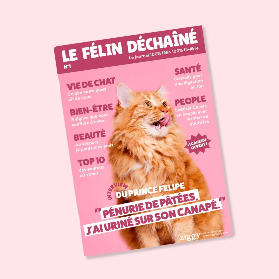 Ziggy Félin Déchaîné Issue 1 kattenmagazine Frans