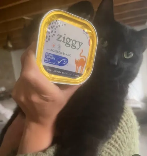 Ziggy Gesteriliseerde Kat Witvis natvoer 4 x 100 g graanvrij