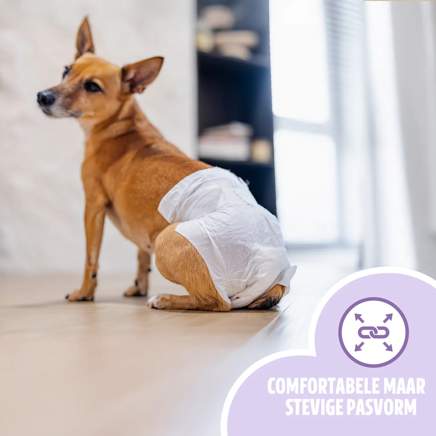 EASYPETS Hondenluiers Teef 100 stuks S/M absorberend