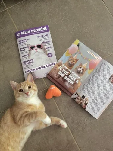 Ziggy Le Félin Déchaîné kattenmagazine nummer 3 Frans
