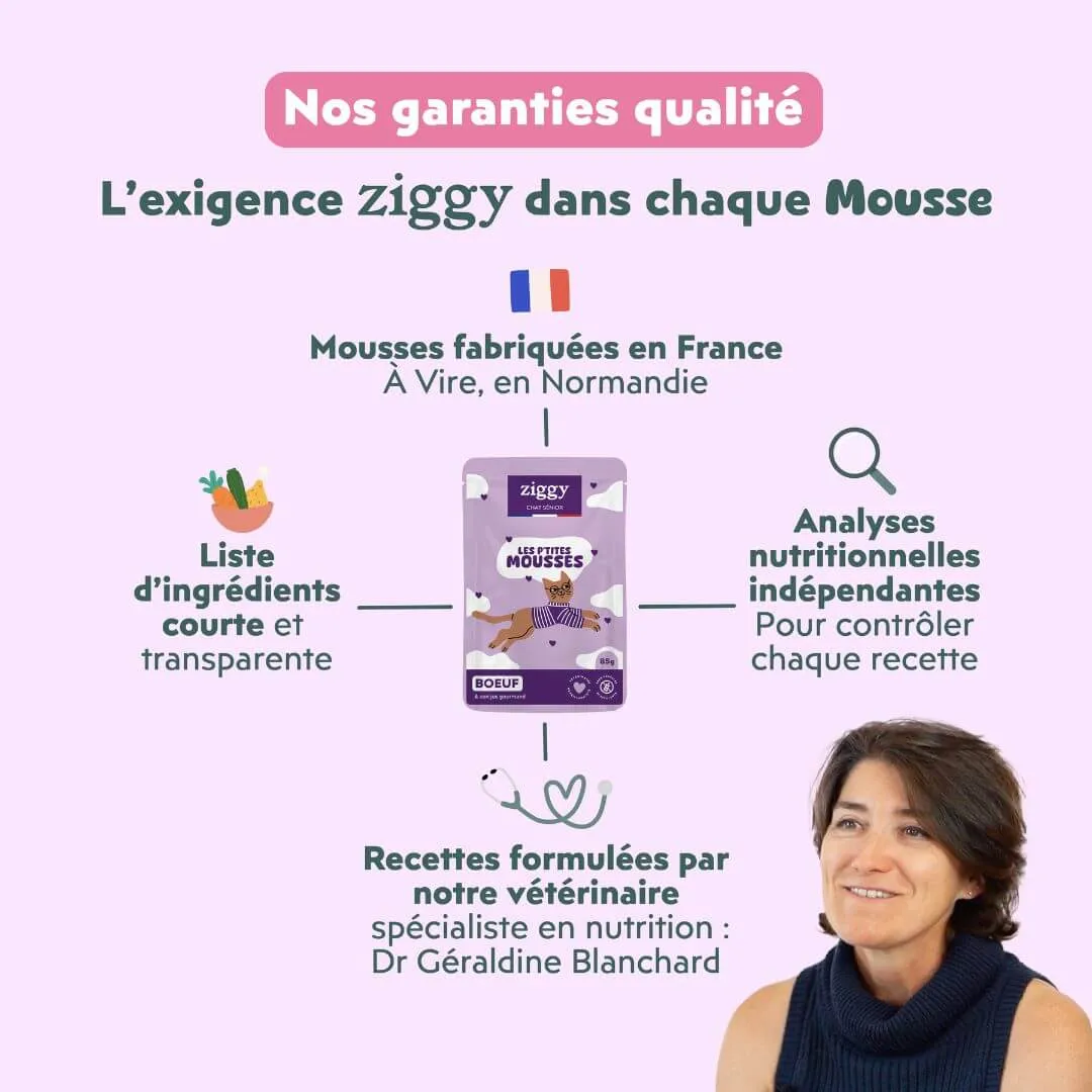 Ziggy Senior mousse rund kattenvoer 12 x 85 g graanvrij