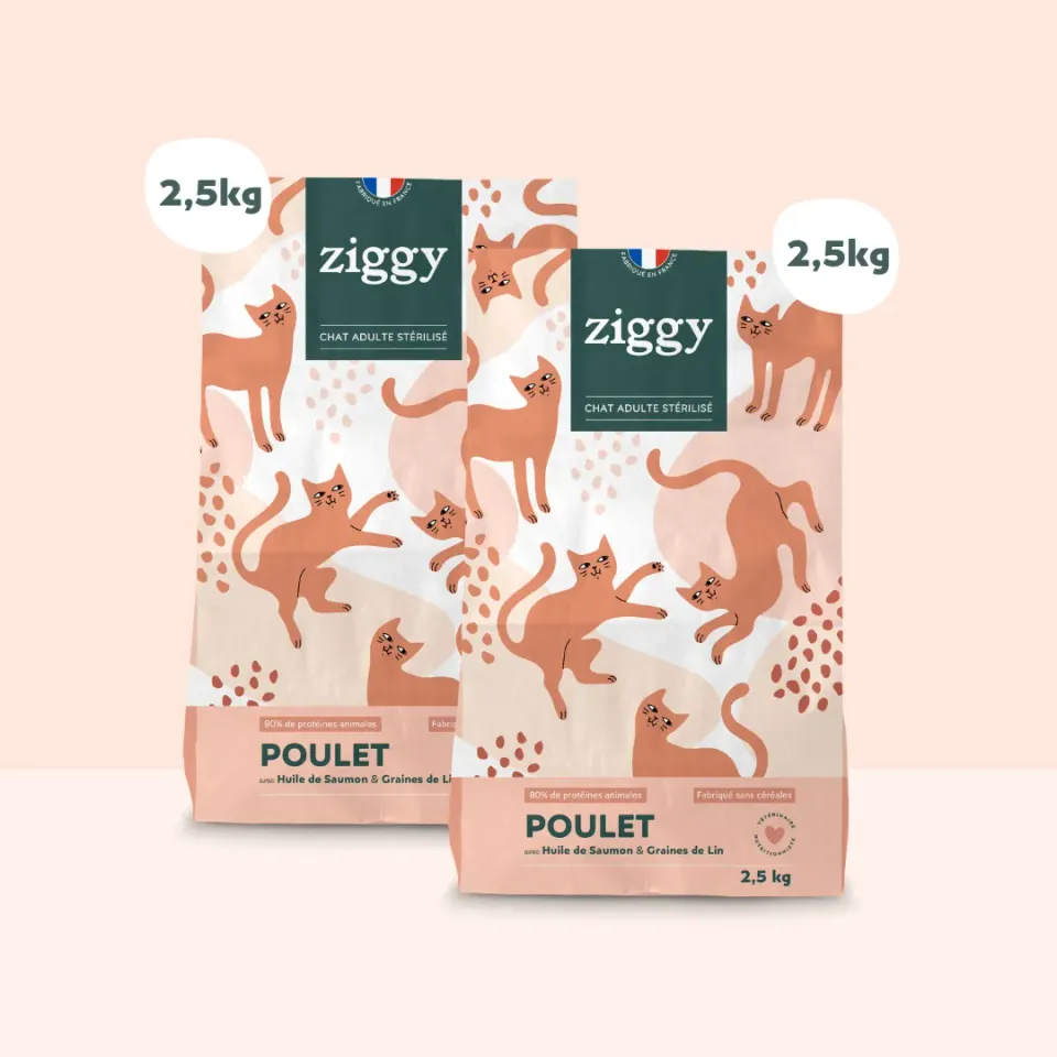 Ziggy Party Discovery brokken kip zalm 2 x 2,5 kg graanvrij
