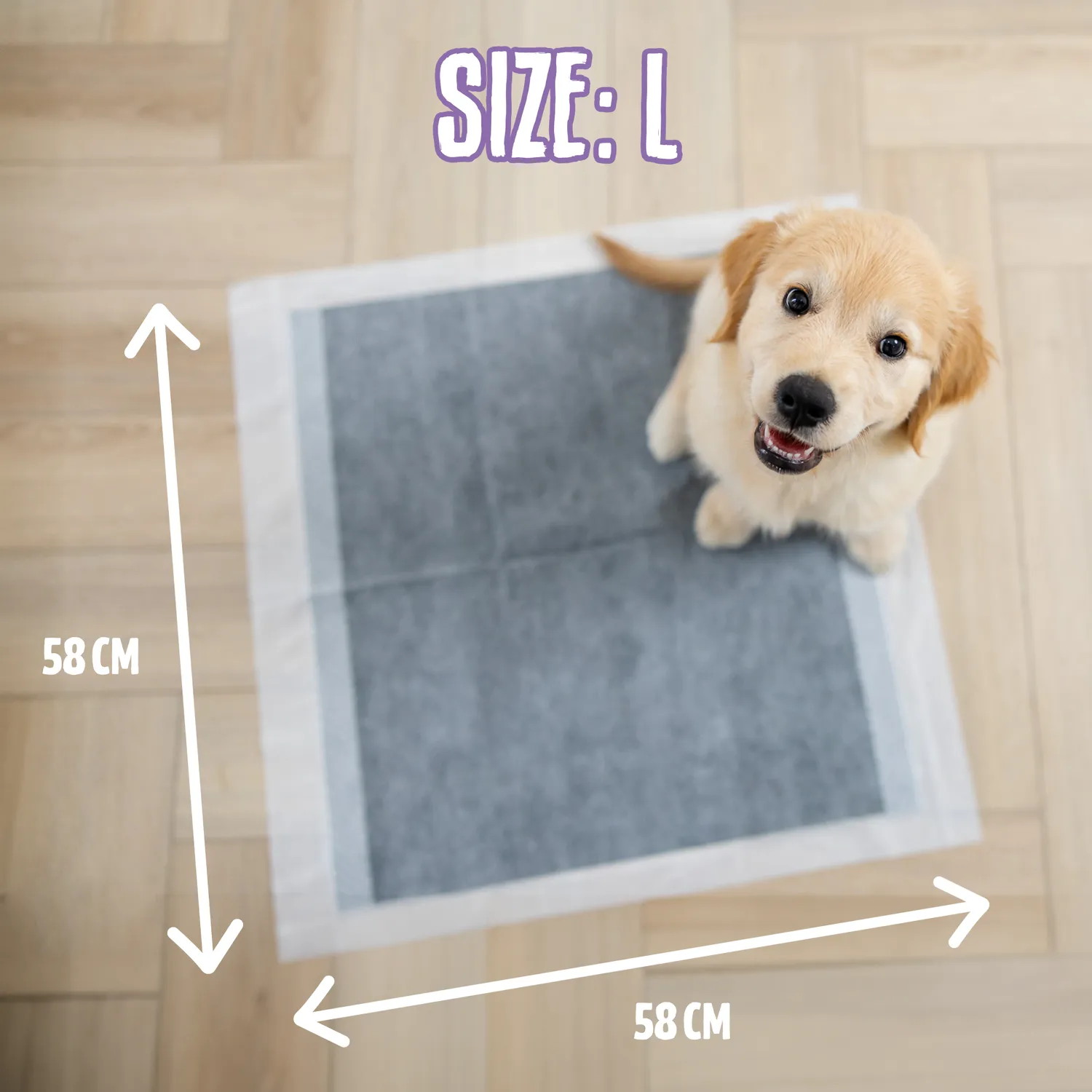 EASYPETS Puppy Pads Actieve Kool plasmatje 105 stuks feromonen