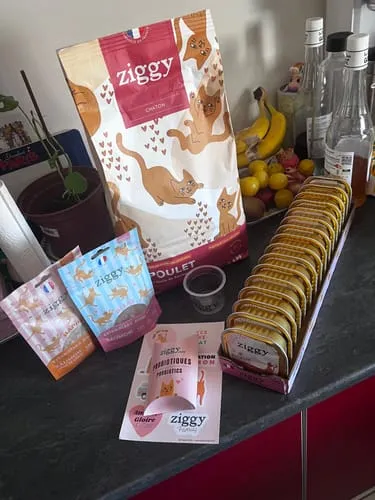 Ziggy Relax kattensnoepjes zalm valeriaan 40g graanvrij