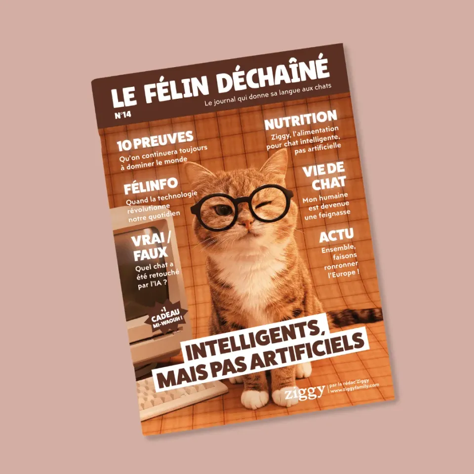 Ziggy Le Félin Déchaîné tijdschrift editie 14 Frans