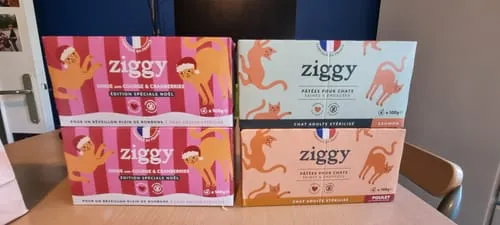 Ziggy Discovery Box kat kip brokken natvoer 1 kg + 8 x 100 g